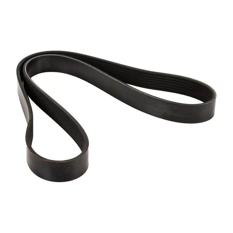 Courroie trapézoïdale à nervures OE 500388408 - Visuel 1