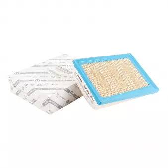 Filtre à air OE OEM 52069688