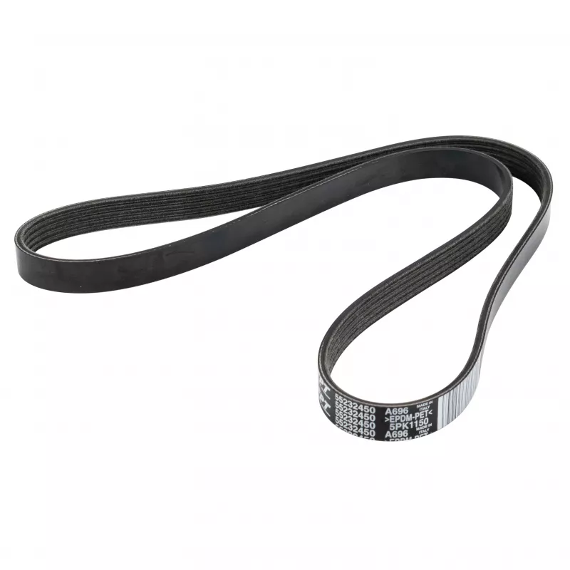 Courroie trapézoïdale à nervures OE 55232450 - Visuel 1