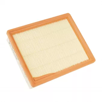 Filtre à air OE OEM 6000619767