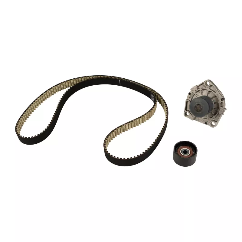 Pompe à eau + kit de courroie de distribution OE 6000629056 - Visuel 1