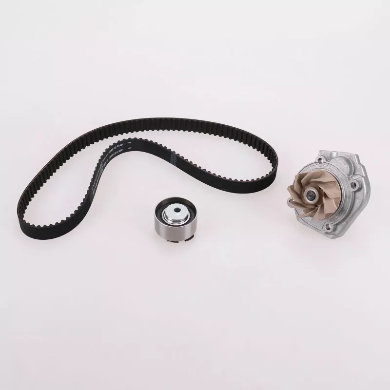 Pompe à eau + kit de courroie de distribution OE 6000629059 - Visuel 1