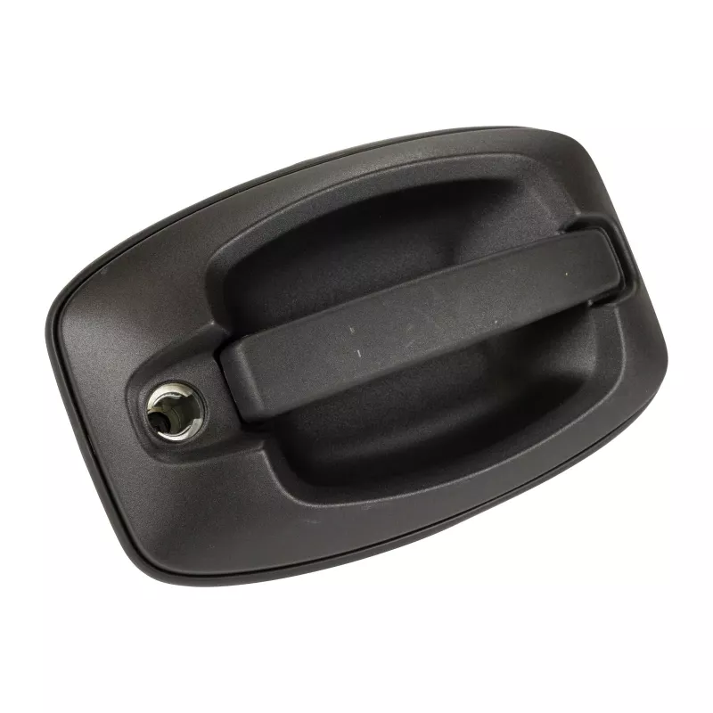 Poignée de porte avant gauche OE 735423244 - Visuel 1