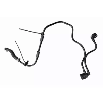 Durite de radiateur VAICO V30-3833