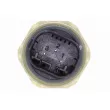 VEMO V25-72-0137 - Capteur, pression de carburant
