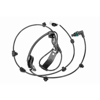 Capteur, vitesse de roue avant droit VEMO OEM 8954271010