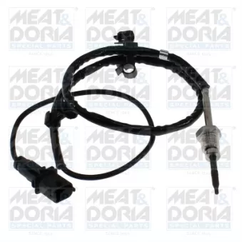 Capteur, température des gaz MEAT & DORIA OEM 1481062M00