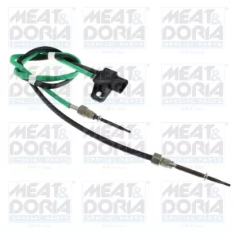 Capteur, température des gaz MEAT & DORIA 12846