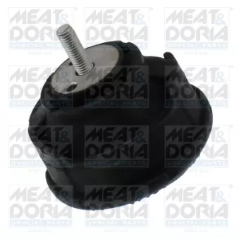 Support moteur MEAT & DORIA OEM 22116779972