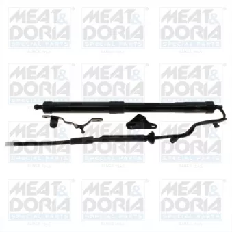 Vérin, étagère (coffre) arrière gauche MEAT & DORIA OEM 6892009010