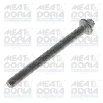 Vis de fermeture MEAT & DORIA OEM 13537805256