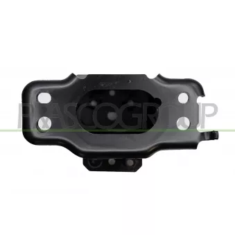 PRASCO LS7001005 - Support, pare-chocs avant droit