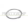 PRASCO VG9191241 - Cadre, projecteur antibrouillard