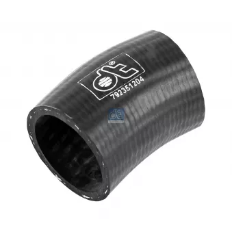 DT 1.11085 - Durite de radiateur
