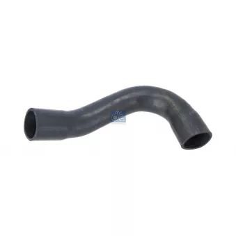DT 1.11815 - Durite de radiateur