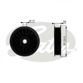 Poulie renvoi/transmission, courroie trapézoïdale à nervures GATES T38029