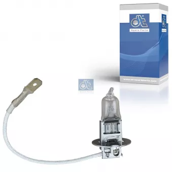 Ampoule, projecteur antibrouillard DT 1.21572 pour SCANIA P,G,R,T - series P 340 - 340cv