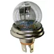 DT 1.21582 - Ampoule, projecteur principal