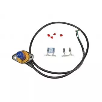 Capteur DT OEM 1539110