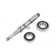 DT 1.31101 - Kit de réparation, pompe à eau