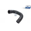 Tuyau, ventilation de carter-moteur DT [1.40401]