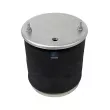 DT 10.36035 - Ressort pneumatique, suspension pneumatique