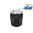 Ressort pneumatique, suspension pneumatique DT [10.46001]