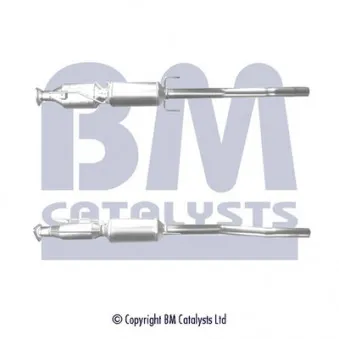 BM CATALYSTS BM11102HP - Filtre à particules / à suie, échappement