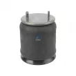 DT 10.96000 - Ressort pneumatique, suspension pneumatique