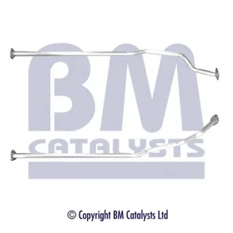 BM CATALYSTS BM50391 - Tuyau d'échappement