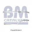 BM CATALYSTS BM50542 - Tuyau d'échappement