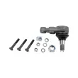 Rotule de suspension DT [11.42015]