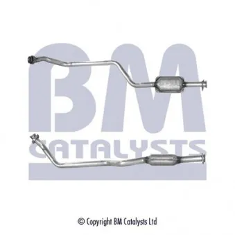 Catalyseur BM CATALYSTS BM80077H