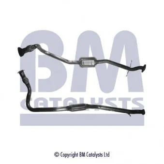 BM CATALYSTS BM80271H - Catalyseur