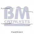 Catalyseur BM CATALYSTS [BM80466H]