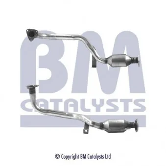 Catalyseur BM CATALYSTS BM90202H