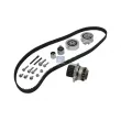 DT 11.90208 - Pompe à eau + kit de courroie de distribution