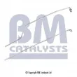 BM CATALYSTS PP11009A - Conduite à press, capteur de press (filtre particule/suie)