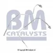Conduite à press, capteur de press (filtre particule/suie) BM CATALYSTS [PP11013B]