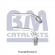 BM CATALYSTS PP11022A - Conduite à press, capteur de press (filtre particule/suie)