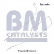 Conduite à press, capteur de press (filtre particule/suie) BM CATALYSTS [PP11091C]