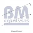 Conduite à press, capteur de press (filtre particule/suie) BM CATALYSTS [PP11129A]