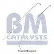Conduite à press, capteur de press (filtre particule/suie) BM CATALYSTS [PP11320B]