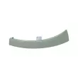 Enjoliveur, projecteur principal DT [12.74352]