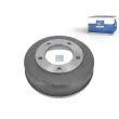 DT 13.30000 - Tambour de frein