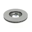 DT 13.31000 - Jeu de 2 disques de frein avant