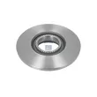 DT 13.31014 - Jeu de 2 disques de frein arrière
