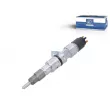 DT 2.11250 - Injecteur