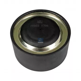 Poulie renvoi/transmission, courroie trapézoïdale à nervures DT OEM 7421753149