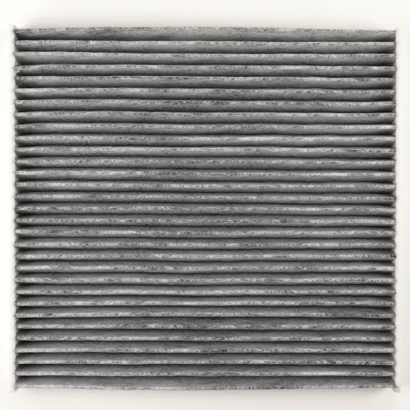 Filtre, air de l'habitacle OE 1615646880 - Visuel 1